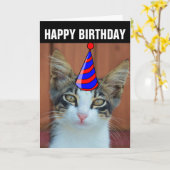 かわいい猫の誕生日カード カード (黄色い花)