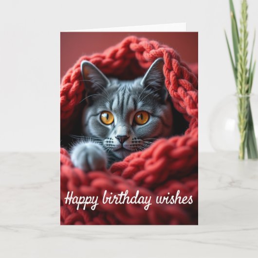 かわいい猫の誕生日カード カード (正面)