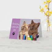 かわいい猫の誕生日グリーティングカード カード (黄色い花)