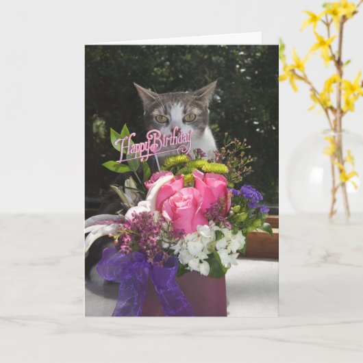 かわいい猫の誕生日 カード (黄色い花)