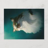 かわいい猫の贈り物|おもしろい誕生日猫 シーズンポストカード (正面)