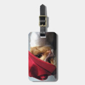 かわいい猫の赤いキャップの荷物タグ ラゲッジタグ (正面縦)