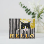 かわいい猫の里親募集ハローフラットカード 招待状 (スタンド正面)