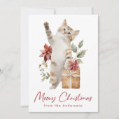 かわいい猫の鳴き声のクリスマス ノンフォト シーズンカード (正面)