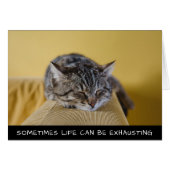 かわいい猫は命が使える時もある (正面横)