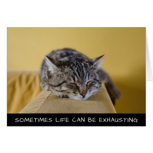 かわいい猫は命が使える時もある (正面横)