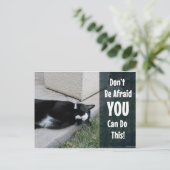 かわいい猫は恐れない ポストカード (スタンド正面)