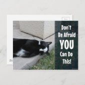 かわいい猫は恐れない ポストカード (正面/裏面)