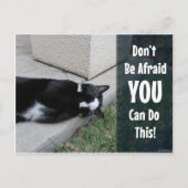 かわいい猫は恐れない ポストカード (正面)