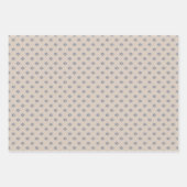 かわいい猫をテーマにしたパーティー紙 ラッピングペーパーシート (正面)