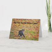 かわいい猫アートパンおもしろい誕生日カード カード (正面)