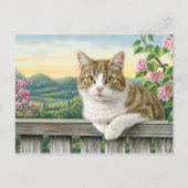 かわいい猫アート猫おもしろい猫たち シーズンポストカード (正面)