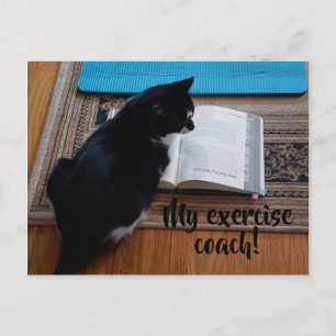 かわいい猫エクササイズが絵葉書をコーチ ポストカード