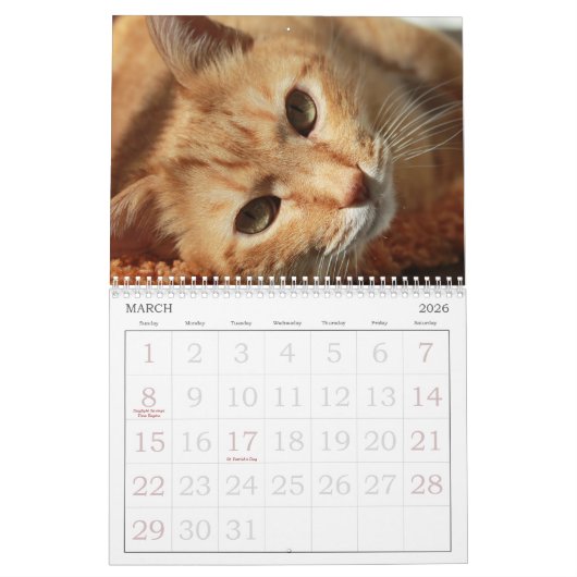 かわいい猫カレンダー カレンダー (3月 2026)
