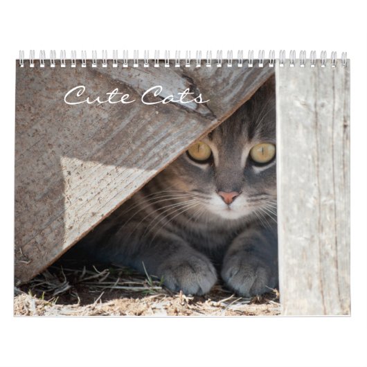 かわいい猫カレンダー カレンダー (カバー)