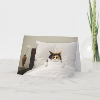 かわいい猫カードおもしろいをゲット最高の! カード