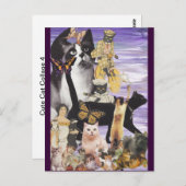 かわいい猫コラージュ4 ポストカード (正面/裏面)