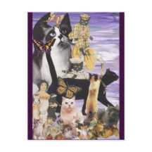 かわいい猫コラージュ4