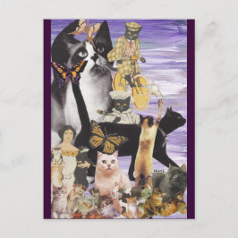かわいい猫コラージュ4 ポストカード