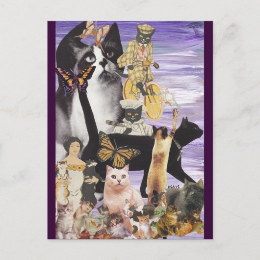 かわいい猫コラージュ4 ポストカード (正面)