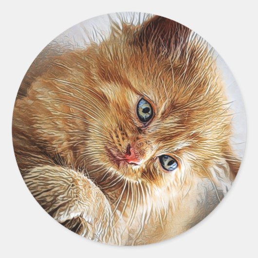 かわいい猫コレクション ラウンドシール (正面)