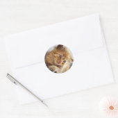 かわいい猫コレクション ラウンドシール (封筒)