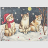 かわいい猫ティシュペーパー 薄葉紙 (正面)