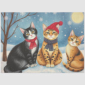 かわいい猫ティシュペーパー 薄葉紙 (正面)