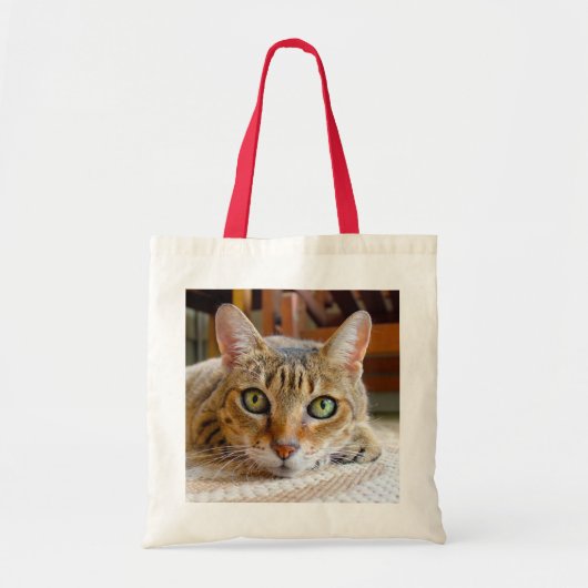かわいい猫トートバッグ トートバッグ (正面)