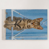 かわいい猫ネコちゃん青いフェンスに座る ジグソーパズル (横)