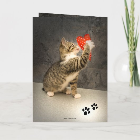 かわいい猫ハートバレンタインデーのカード カード (裏面)