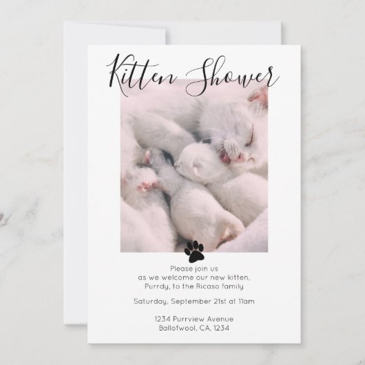 かわいい猫パーソナライズされたの里親募集|過去記事 招待状