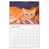 かわいい猫フォトアートデザイン2023月刊 カレンダー (1月 2027)