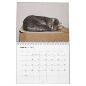 かわいい猫フォトアートデザイン2023月刊 カレンダー (2月 2027)