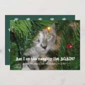 かわいい猫フォトクリスマスカードあなたのペットの写真を追加 シーズンカード (正面/裏面)