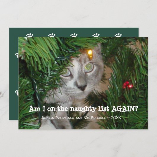 かわいい猫フォトクリスマスカードあなたのペットの写真を追加 シーズンカード (正面/裏面)