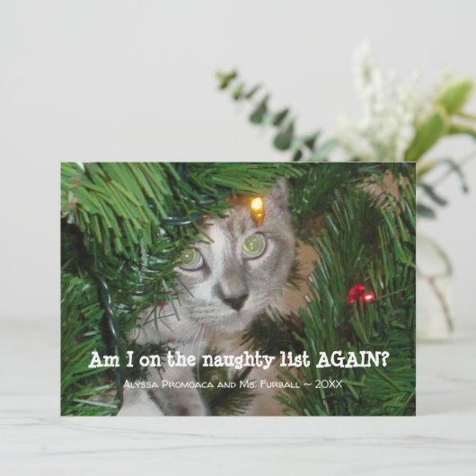 かわいい猫フォトクリスマスカードあなたのペットの写真を追加 シーズンカード (スタンド正面)