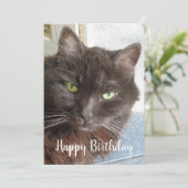 かわいい猫フォトハッピーバースデーフラットカード (スタンド正面)