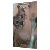 かわいい猫フォトポートレート クリップボード (左)