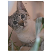かわいい猫フォトポートレート クリップボード (裏面)