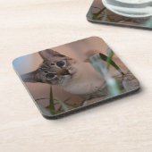 かわいい猫フォトポートレート コースター (左側)