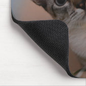 かわいい猫フォトポートレート マウスパッド (コーナー)