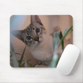 かわいい猫フォトポートレート マウスパッド (マウス)