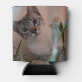 かわいい猫フォトポートレート 缶クーラー (正面)