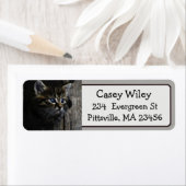 かわいい猫フォト差出人住所ラベル ラベル (インサイチュ)