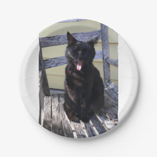 かわいい猫プレート ペーパープレート