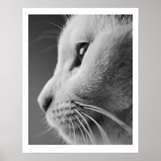 かわいい猫プロフィールポートレート – 白黒 ポスター (正面)