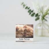 かわいい猫ペットシッターとドッグウォーカー スクエア名刺 (スタンド正面)