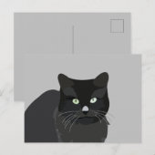 かわいい猫ペット動物 ポストカード (正面/裏面)