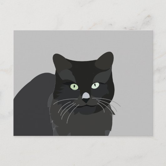かわいい猫ペット動物 ポストカード (正面)